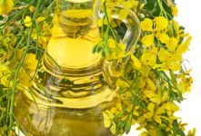 biocombustible